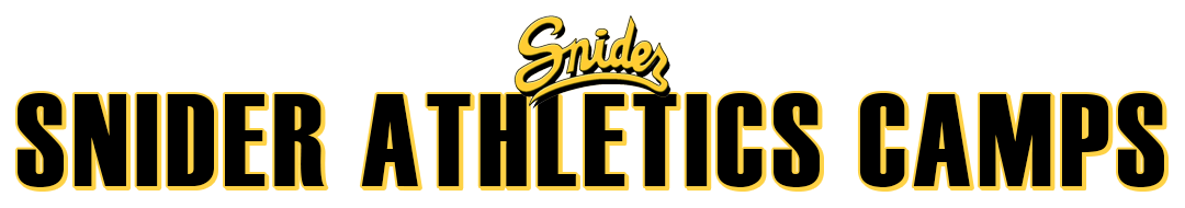 Snider High School (IN) - Portal