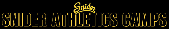 Snider High School (IN) - Portal
